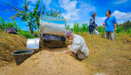 Aturan Direvisi, Bulog Wajib Serap Gabah Petani Rp6.500 per Kg dan Wajib Lapor ke Menko Pangan