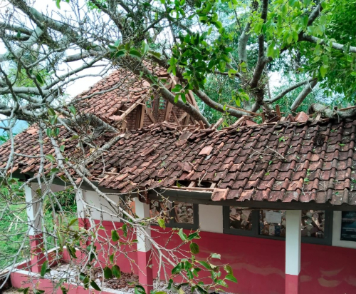 Pohon Tumbang Timpa SDN Cianjur, 6 Siswa Jadi Korban