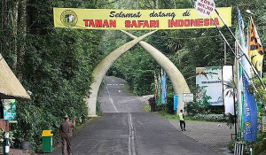 Taman Safari Indonesia Punya Siapa? Inilah Sosokny