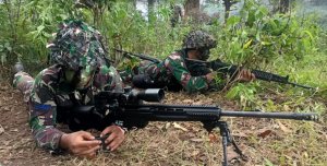 Koops Habema, Gabungan 3 Pasukan Elite TNI yang Te