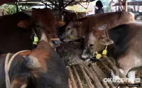 10 Daerah Penghasil ...
