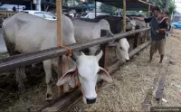 Panduan Mendampingi ...