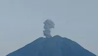 Breaking News! Gunun...