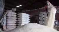 Beras Oplosan Tak Pe...